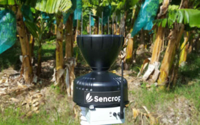 Sencrop connecte les bananeraies martiniquaises  avec ses stations agro-météo