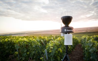 En équipant 80 viticulteurs dans le Médoc, Sencrop densifie le maillage de ses stations météo connectée en Nouvelle Aquitaine