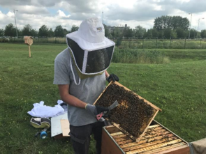 A Verquigneul et Lambres-lez-Douai, l’ADH collecte  le miel des ruches installées aux abords de ses centres de dialyse