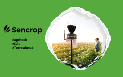 Sencrop lance une expérimentation avec les coopératives agricoles CAL et Terres du Sud afin de les aider à optimiser les fenêtres de traitement.