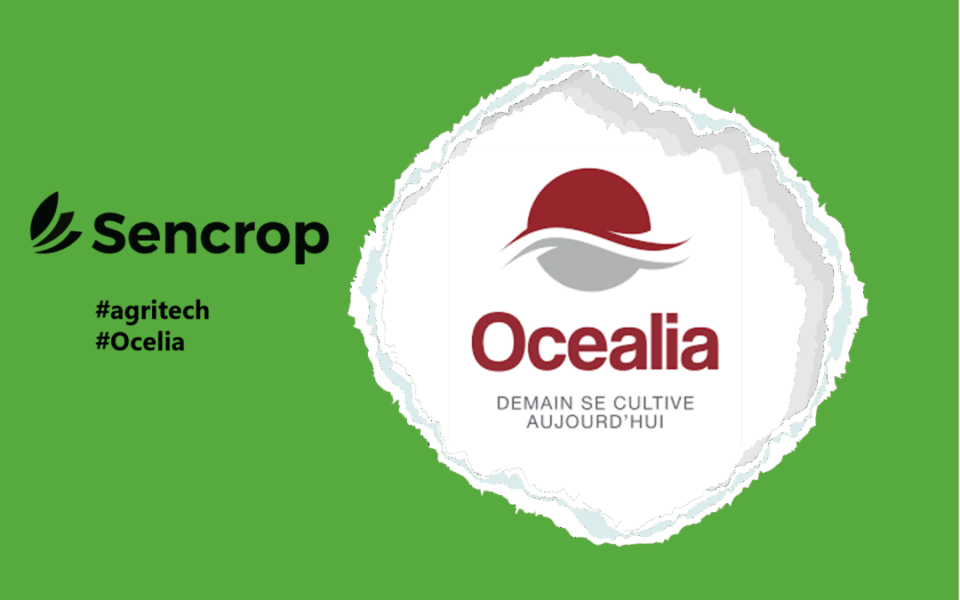 Océalia et Sencrop renforcent leur collaboration pour accompagner  les agriculteurs vers une gestion agro-météo responsable et connectée
