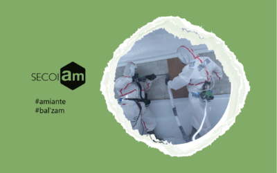 Secoiam lance Balz’am, la 1ère application d’analyse automatique des diagnostics amiante : une innovation clé au service de la prévention des risques.