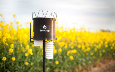 Axéréal, première coopérative céréalière française, choisit  les stations météo connectées Sencrop pour optimiser  son agriculture de précision.