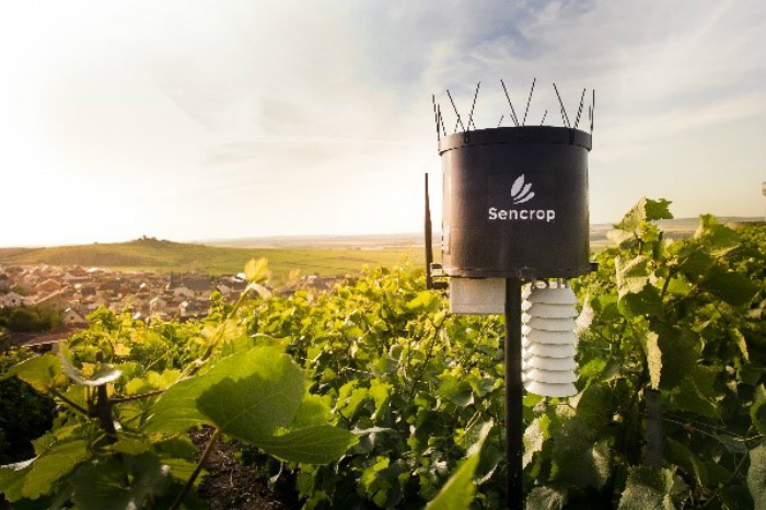 Sencrop, la station agro-météo connectée imaginée pour les viticulteurs idéale pour prévenir le gel et les maladies.